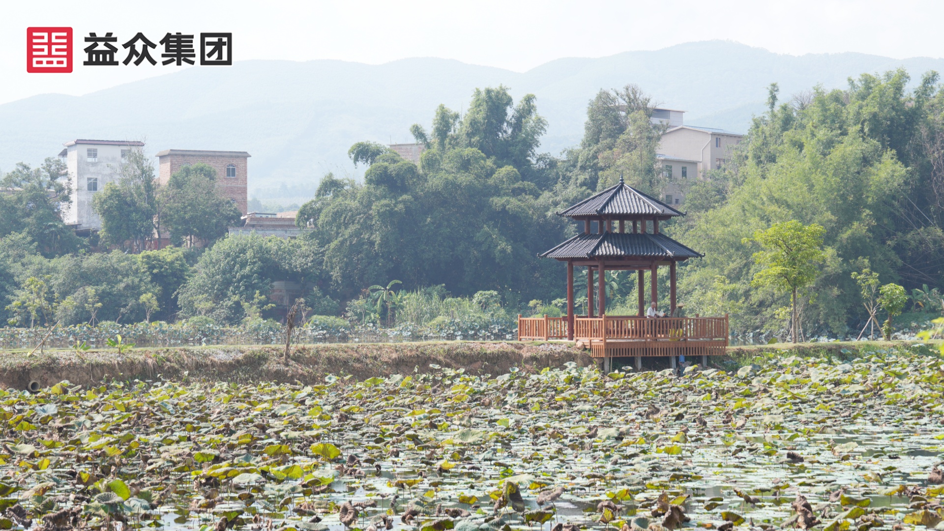 DSC00691_副本 DSC00691_副本